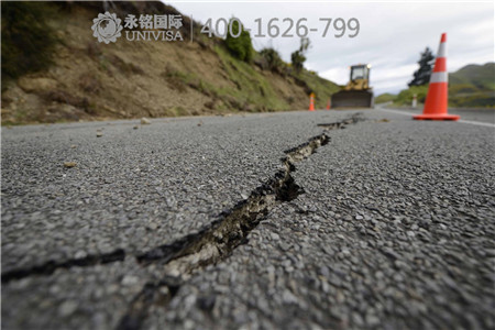 新西蘭7.8級(jí)強(qiáng)地震 最先崩潰的是三頭蒙圈牛……